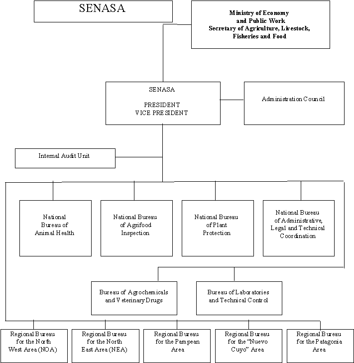 Patagonia Organizational Chart